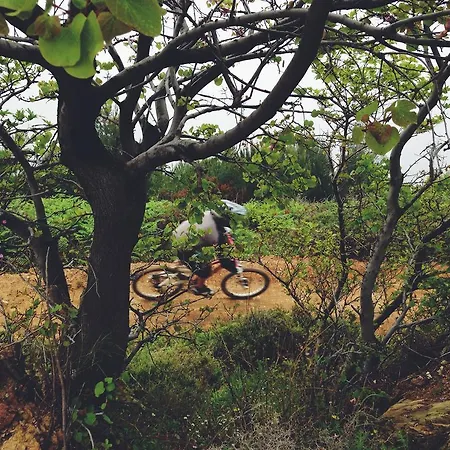 Archontiko Kymis Boutique Hotel Kymi